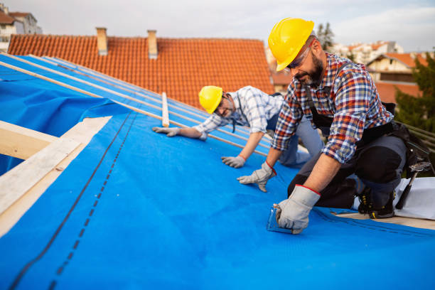 Professional Roofing Contractor in Mountain City, GA