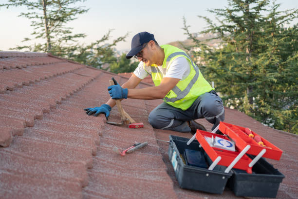 Best Emergency Roof Repair  in Mountain City, GA